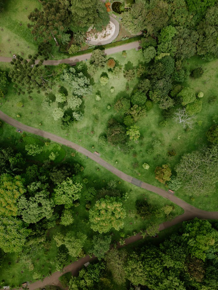 gallery-05 Top view of vibrant foliage and winding paths in a park in Curitiba, Brazil.