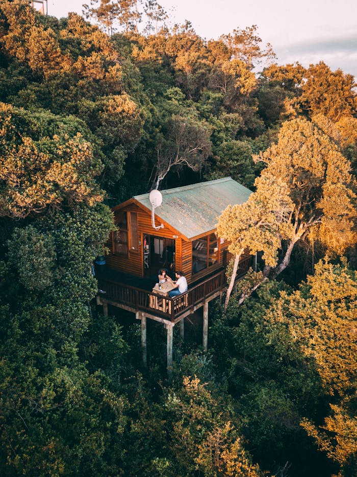 gallery-02 Aerial shot of a secluded treehouse nestled amidst lush woods in South Africa.